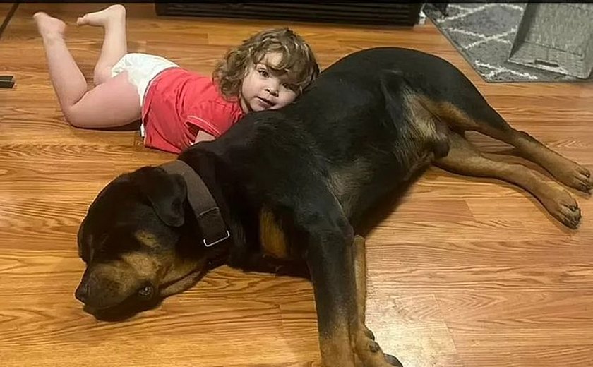 Menina de 2 anos é achada dormindo em cima de cachorro em floresta após se perder da família