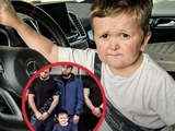 Fenômeno da internet, Hasbulla é preso na Rússia por violação de trânsito