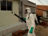 Ibateguara intensifica combate à dengue com mutirões e ações educativas