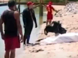 Corpo de Bombeiros localiza corpo de homem que pulou de catamarã e desapareceu em Marechal Deodoro