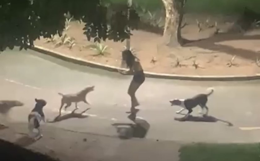 Mulher é Atacada por Cães em Arapiraca e Gera Debate sobre Abandono Animal