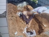 Cadáver é encontrado sentado sobre túmulo em cemitério de Moreno