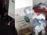 Sete crianças que viviam em situação de abandono são resgatadas em Branquinha