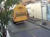 Cão é atropelado por ônibus escolar em Marechal Deodoro; motorista será apurado