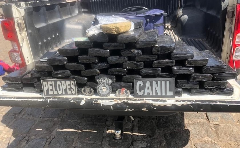 PM prende mulher com mais de 40kg de drogas em ônibus interestadual