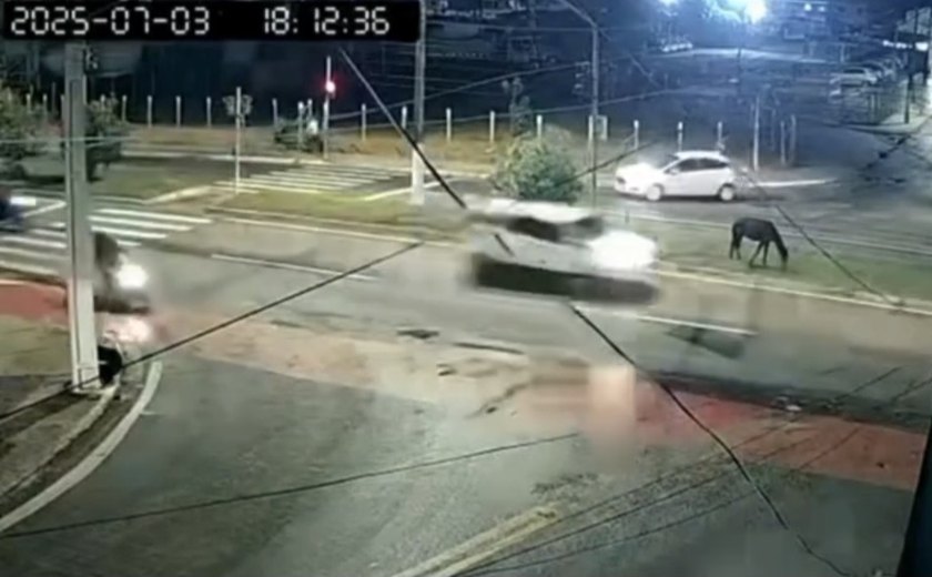 Cavalo é atropelado em avenida de Maceió na noite de quinta-feira (3)