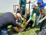 Prefeitura de União dos Palmares realiza ações de arborização pela cidade