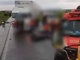 Motociclista fica ferido após colisão com cavalo solto na BR-104, em Murici