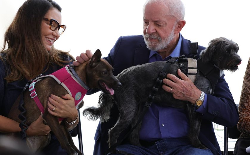 Lula lança programa de identificação e proteção de cães e gatos
