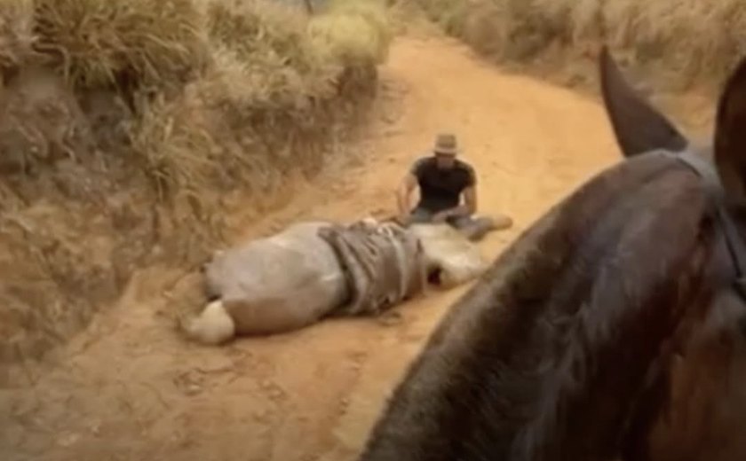 Perícia confirma que cavalo foi mutilado ainda vivo em Bananal (SP)