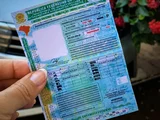 Veja regras para ser instrutor de CNH sem vínculo com autoescola
