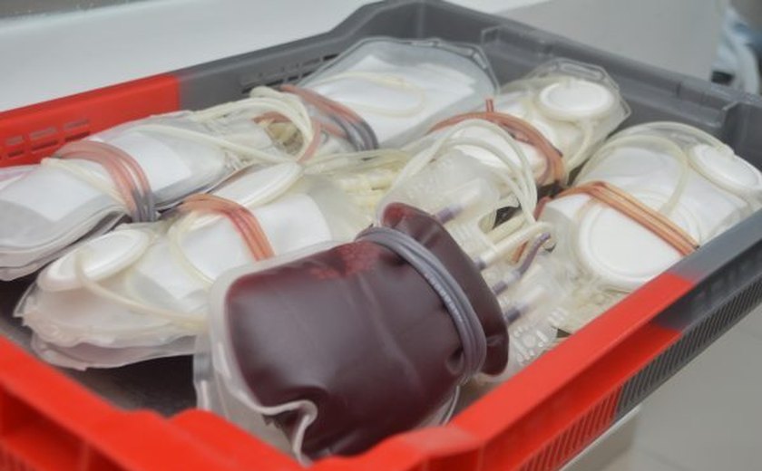 Hemoal realiza coletas externas de sangue em União dos Palmares nesta terça (21)