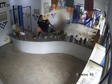 Servidora Pública é Agredida por Duas Mulheres em Escola de Alagoas