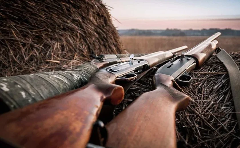 Câmara discute liberação de armas para moradores de áreas rurais nesta terça-feira