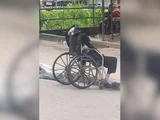 Homem carrega corpo de idosa morta em cadeira de rodas por ruas do RJ