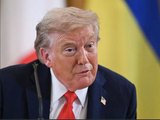 Produtores de soja dos EUA pedem a Trump fim de tarifas após China aumentar compras do Brasil