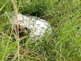 Corpo encontrado em saco e sem braços em Arapiraca é identificado