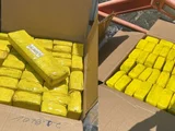 Mega apreensão em Alagoas: drogas embaladas com o Salmo 91 são encontradas pela polícia