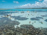 Destino em alta: Maragogi está entre as 10 cidades mais buscadas para o Carnaval 2025