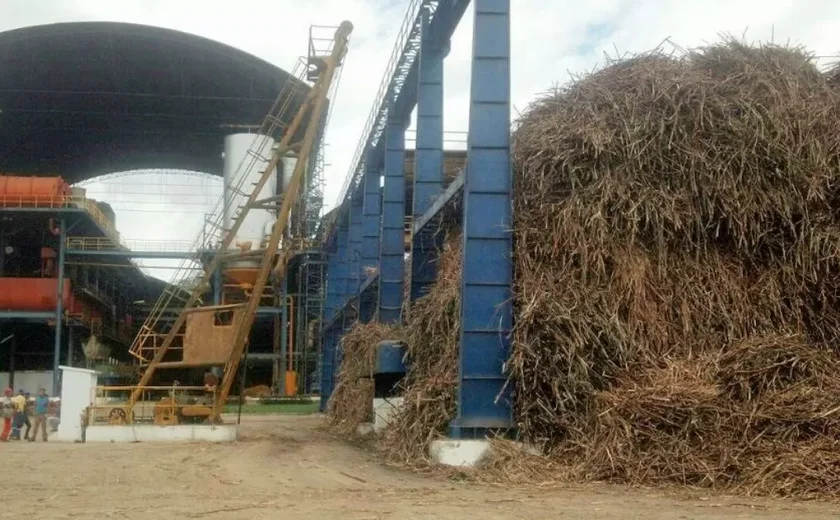 Fim de uma era: Usina Taquara fecha as portas e deixa 2.500 famílias sem sustento