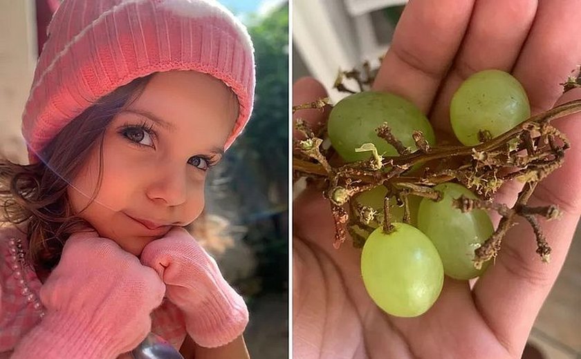 Menina de 3 anos morre após se engasgar com uva em Goiás