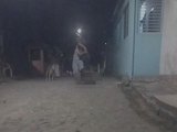 Justiça libera homem que aparece em vídeo chocante matando cachorro