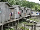 População da Ilha de Marajó cobra ações para combater exploração infantil