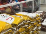 Ibateguara recebe sementes do Programa Planta Alagoas