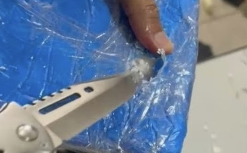 Polícia apreende cocaína e maconha em armazém de transportadora em Maceió