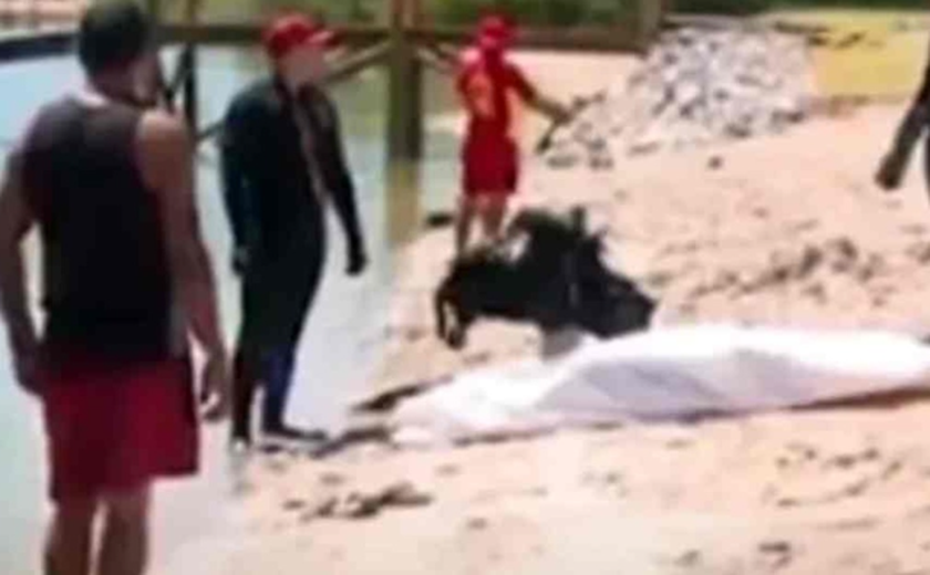 Corpo de Bombeiros localiza corpo de homem que pulou de catamarã e desapareceu em Marechal Deodoro