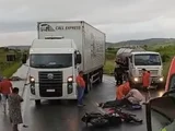 Acidente entre motocicleta e cavalo deixa homem ferido na BR-104, em Murici