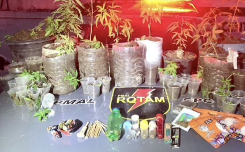 Guarnição da ROTAM 02 apreende plantação de maconha em Satuba