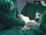 Quase 90 transplantes de órgãos foram realizados em Alagoas durante o ano de 2023
