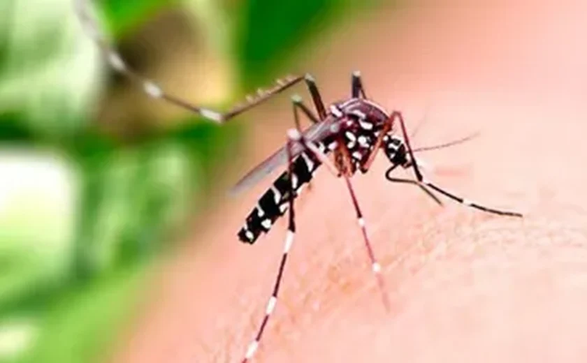 Alagoas tem 4,5 mil casos prováveis de dengue, 1,2 mil de chikungunya e 18 de zika; Sesau confirma óbito por dengue