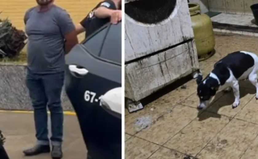 Médico é preso após cães serem achados congelados em freezer de casa