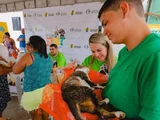 União Pet: programa avança no Robertão e castra mais 60 animais