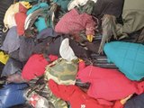 Polícia desarticula rinha de galos em Joaquim Gomes e apreende 23 aves
