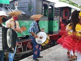 Iphan declara forró como patrimônio cultural imaterial brasileiro