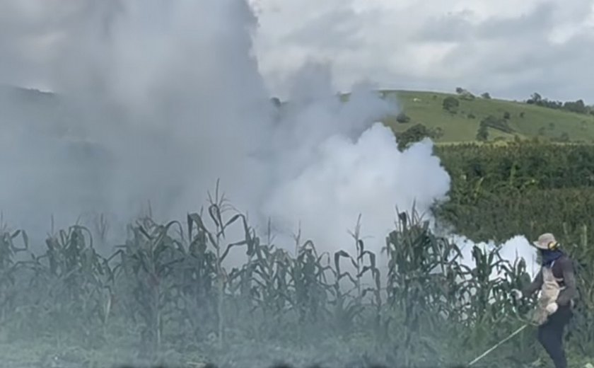 Prefeitura instala placas com iscas e cria cinturão de proteção na Granja Almeida durante força-tarefa contra moscas