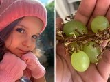 Menina de 3 anos morre após se engasgar com uva em Goiás