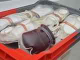 Hemoal realiza coletas externas de sangue em União dos Palmares nesta terça (21)