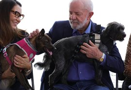 Lula lança programa de identificação e proteção de cães e gatos