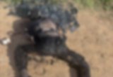 Homem é encontrado carbonizado após polêmica com símbolos nazistas em União dos Palmares