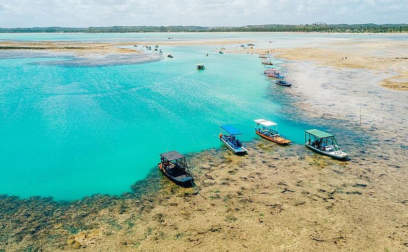 Alagoas recebe certificação turística Bandeira Azul; Selo desembarca na Praia do Patacho na sexta-feira (10)