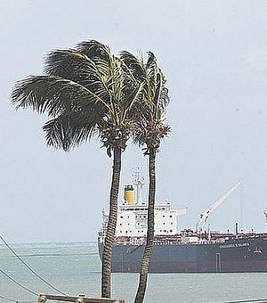 Defesa Civil de Maceió alerta para rajadas de ventos fortes que podem chegar a 45km/h