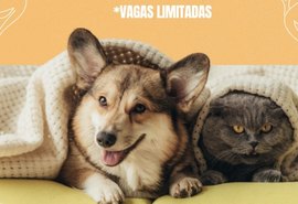 União Pet abre cadastro para castração gratuita de cães e gatos no bairro da Vaquejada