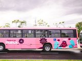 Ônibus da Mulher começa a circular em Maceió nesta segunda-feira (6)