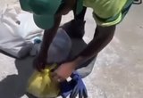 Garis resgatam filhote de gato encontrado dentro de sacola no lixo em Maceió