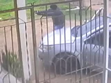 PM é preso suspeito de assassinar homem na porta de casa em Estrela de Alagoas; vídeo