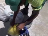 Garis resgatam filhote de gato encontrado dentro de sacola no lixo em Maceió